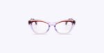 BAYER-Brown-Violet-scaled-1