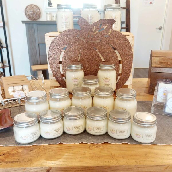 candle making candles soy wax candles soy candles all natural candles natural candles guelph workshop diy ladies night in ladies night out downtown guelph guelph business support local