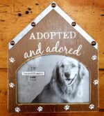 adopted frame