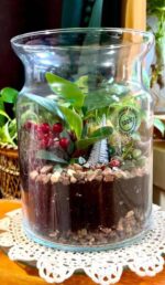 Terrarium