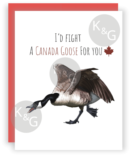 Fight a Canada Goose