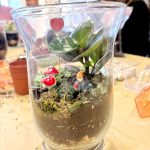 TERRARIUM_3.jpg