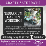 terrarium_0e5734c3-79bf-4c8a-8ef4-a1d6b0058b85.png