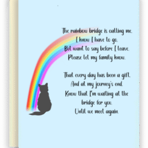 The Rainbow Bridge-cat