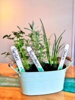 Herb_Garden.jpg