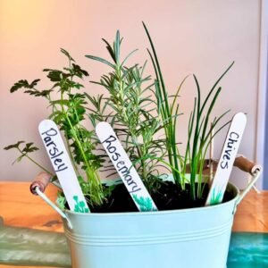 PD DAY - My Little Herb Garden Workshop